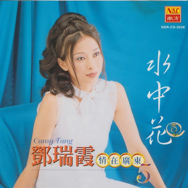 广东余丰 是雨是泪(McYaoyao Electro Mix粤语男)