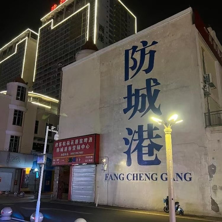 林志美 雨夜钢琴(McYy Electro Mix粤语女)