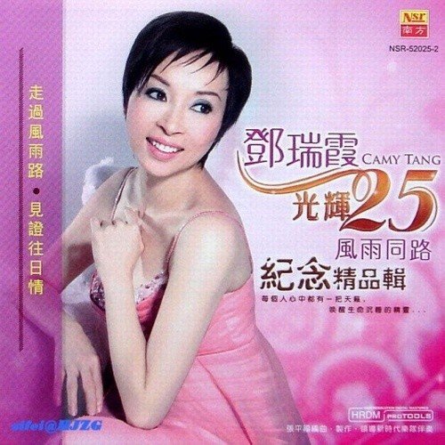 陈奕迅 几许风雨(McYaoyao Electro Mix粤语男)