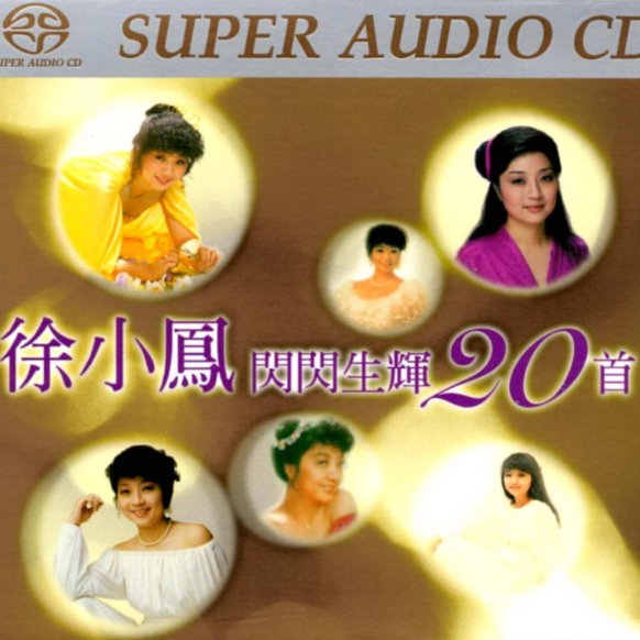 徐小凤 漫漫前路( Electro Mix 粤语女)