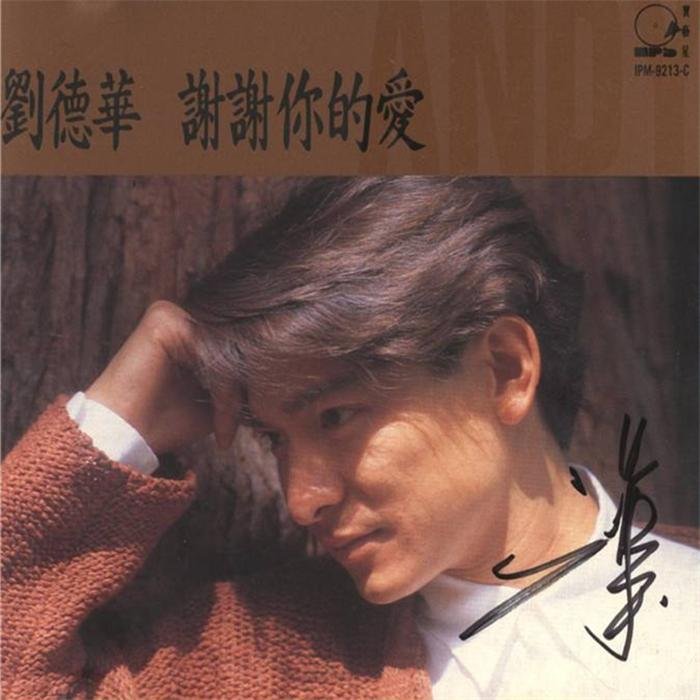 刘德华 - 谢谢你的爱(Dj阿谋 Electro Rmx 2022 粤语)