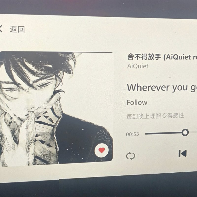 海鸣威 我的回忆不是我的(McYy Electro Mix 粤语男)