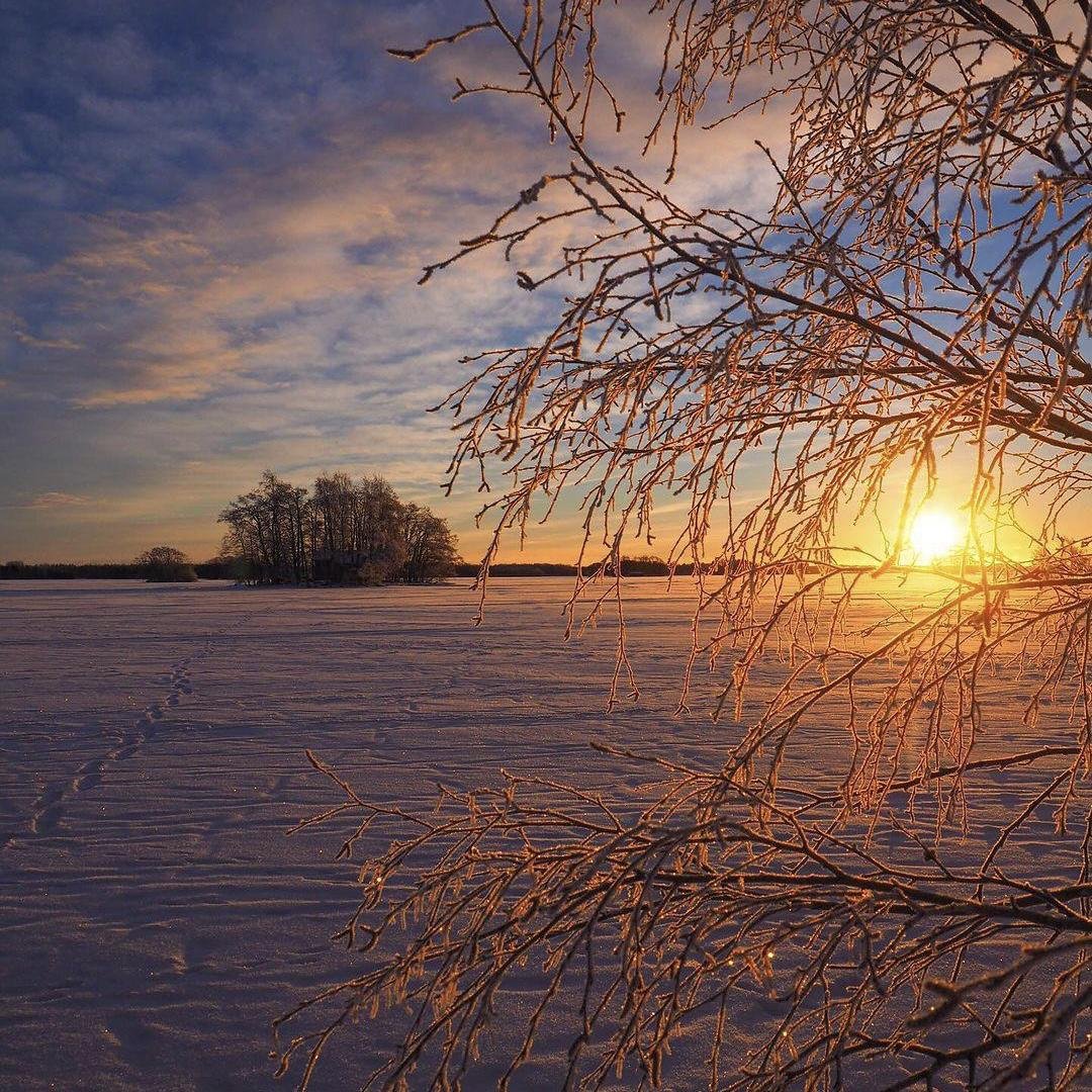 说理哥 不该用情(Dj阿谋 Electro Mix 粤语男)