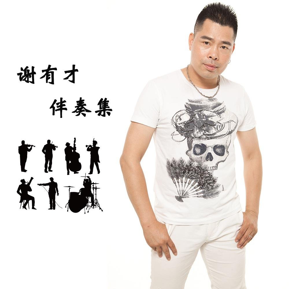 谢有才 风风雨雨陪你走过( Electro Mix粤语男)