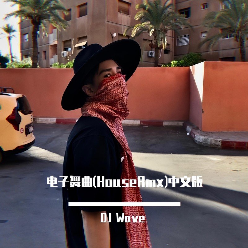 Mr.16罗隽永 - 处处吻(Dj阿帆 Electro Mix粤语男)