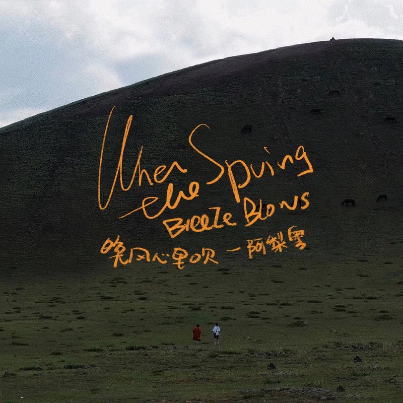 阿梨粤 晚风心里吹( Electro Mix粤语女)