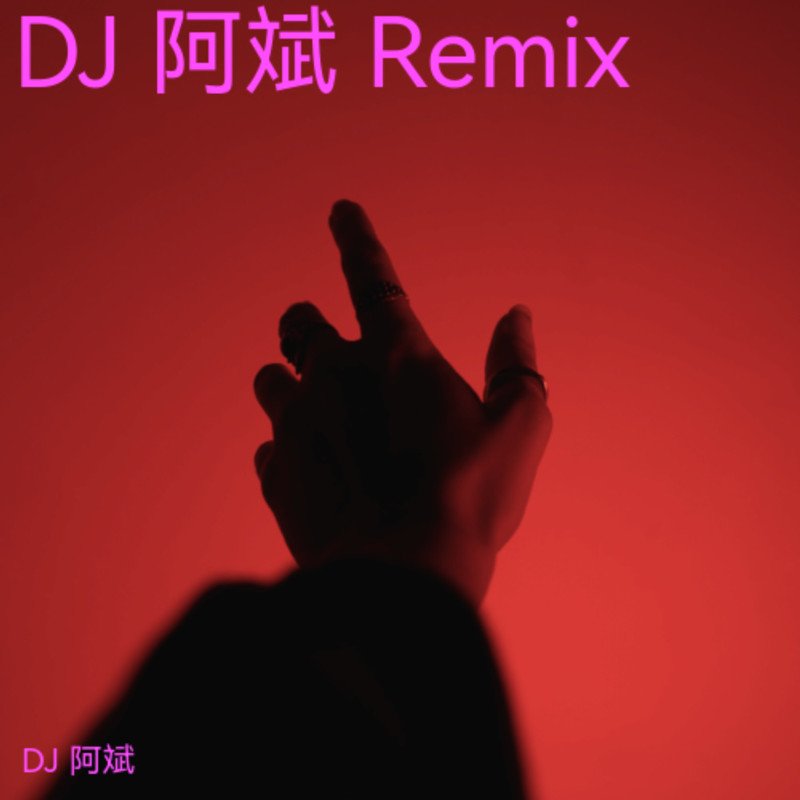 古巨基 - 重复犯错(Dj光仔 Electro Rmx 2023 粤语)