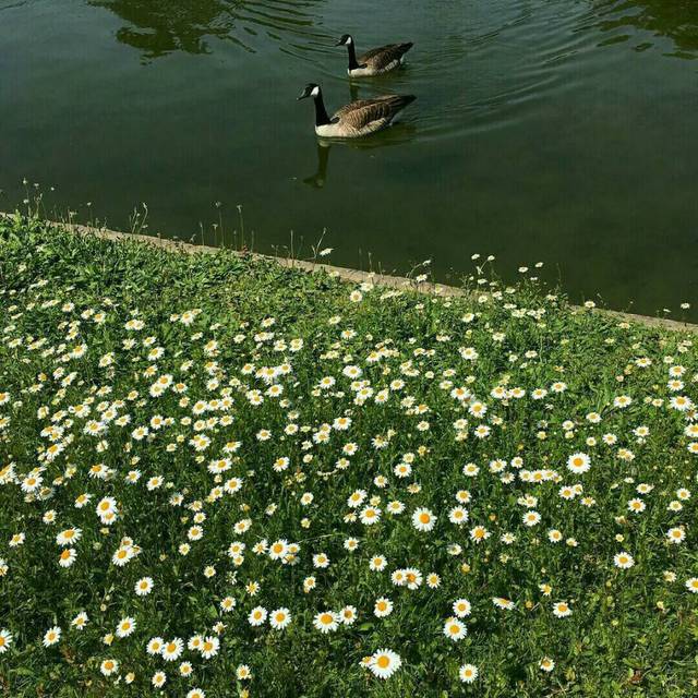 废博 - F. Physical-La Banda（废博 remix）