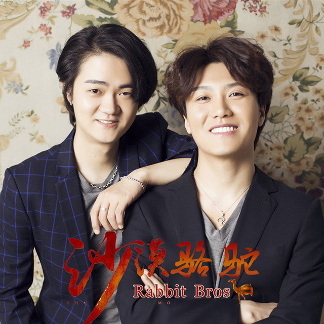 阿D - 展展与罗罗-沙漠骆驼（D.Fly remix）