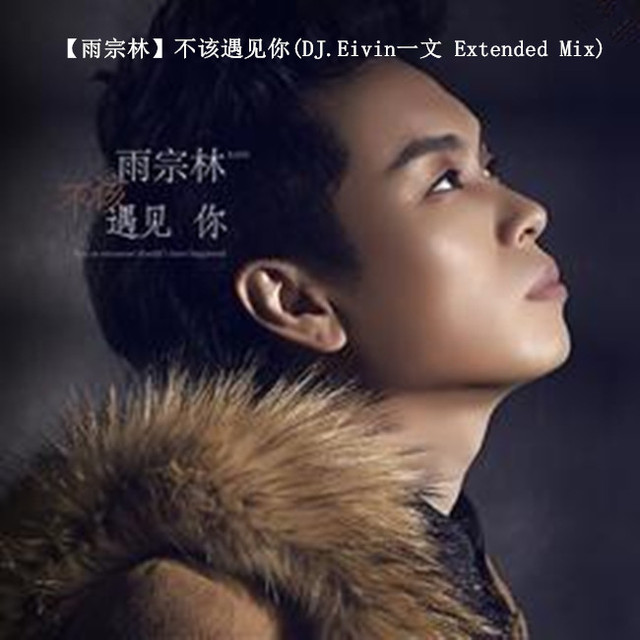 DJ.Eivin一文 - 【雨宗林】不该遇见你(DJ.Eivin一文 Extended Mix)