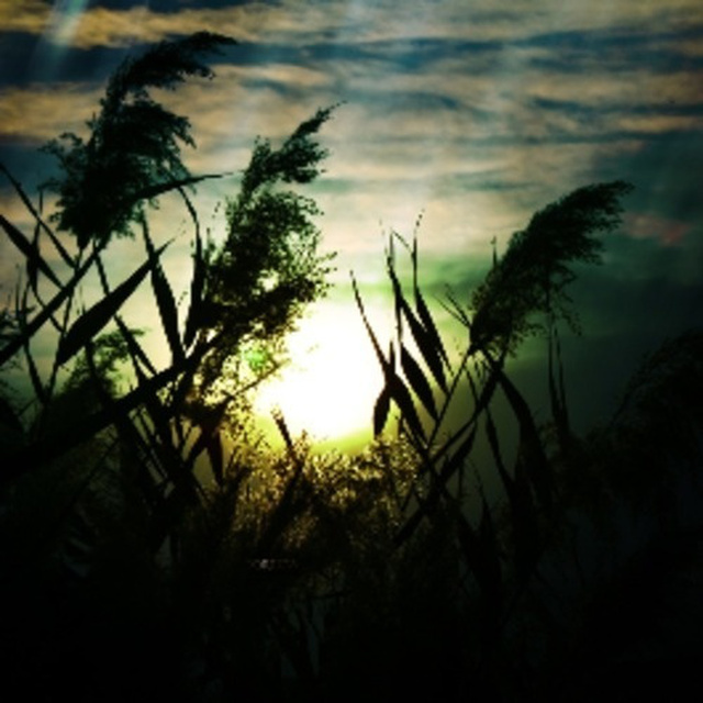 Skylar Grey,The Paragon Axis,A.N.O. - Coming Home (A.N.O. Remix)