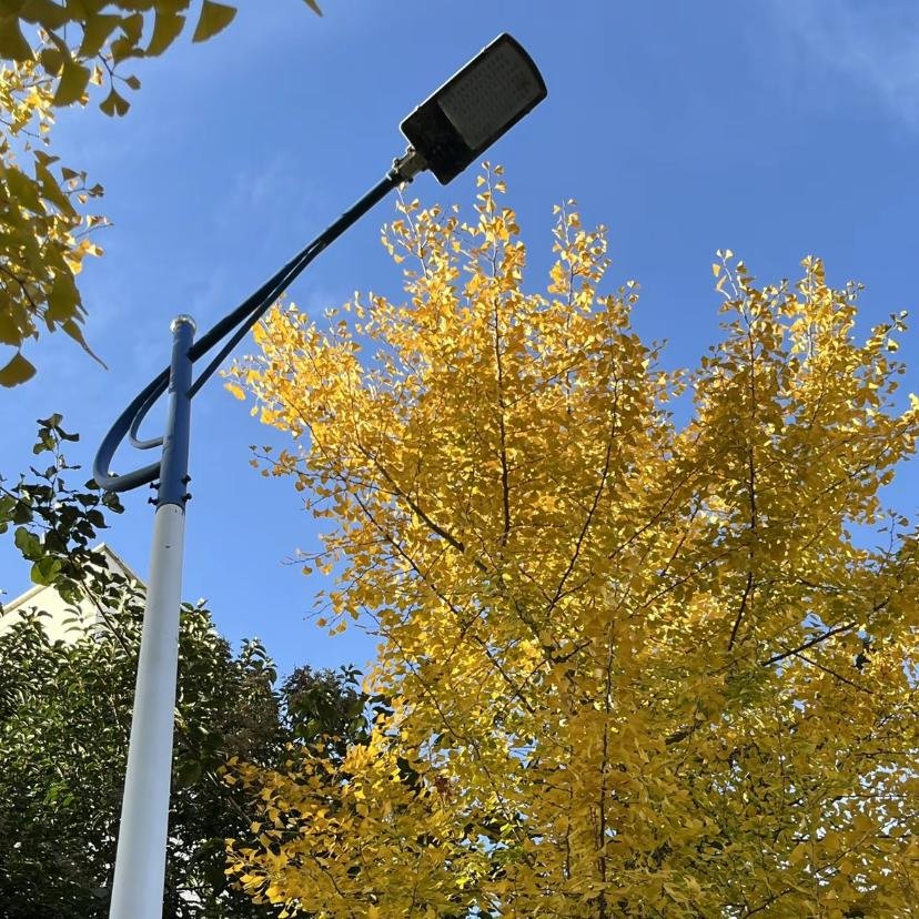 横栏DJ宁少-国粤语慢歌连版回顾抖音流行网络热播红歌HQ串烧