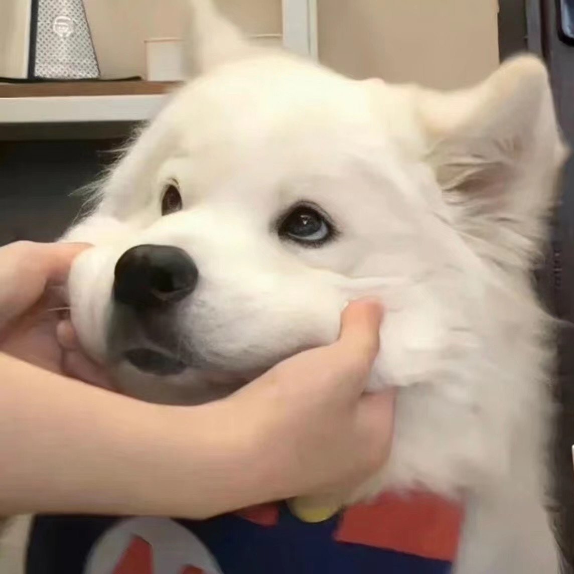 横栏DJ宁少-国粤语慢歌连版抖音女神彭佳慧抒情B面串烧