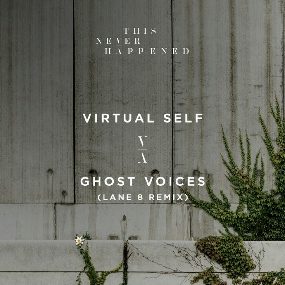 Virtual Self - Ghost Voices (Lane 8 Remix)