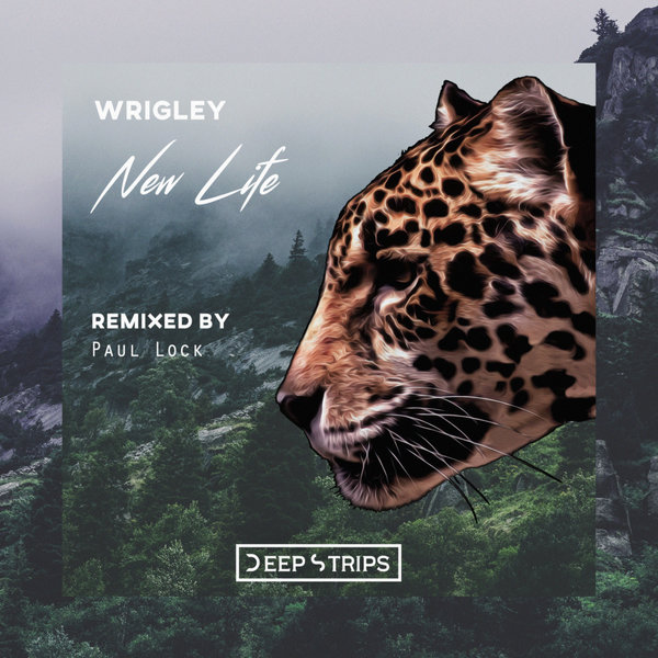 Wrigley - New Life (Original Mix)
