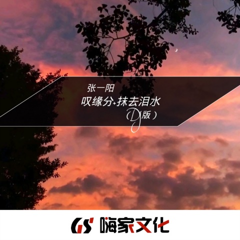 亮声open - 沉默是金 (DJ张一阳版)