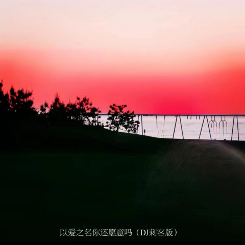 DJ.SmartD - 以爱之名你还愿意吗 (DJ刺客版)