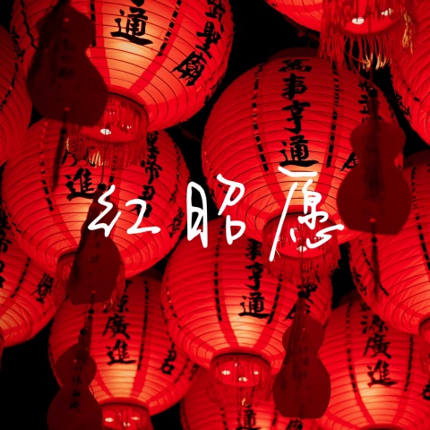 DJ半夏 - 红昭愿 (DJ版)