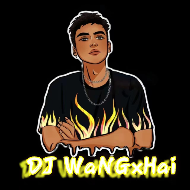 【独家首发】2024.优盘定制沈阳热播单曲专辑3.(DJ王小海精心制作)