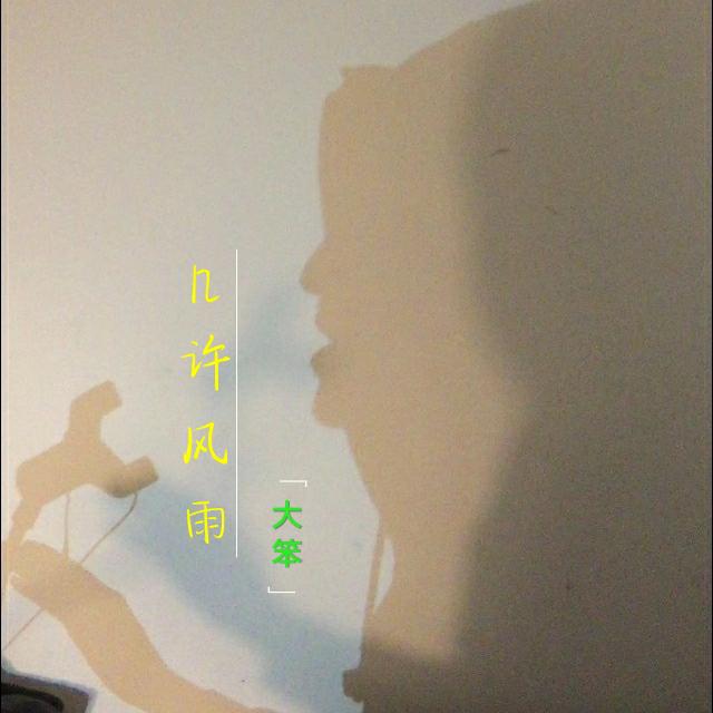 大笨 - 几许风雨