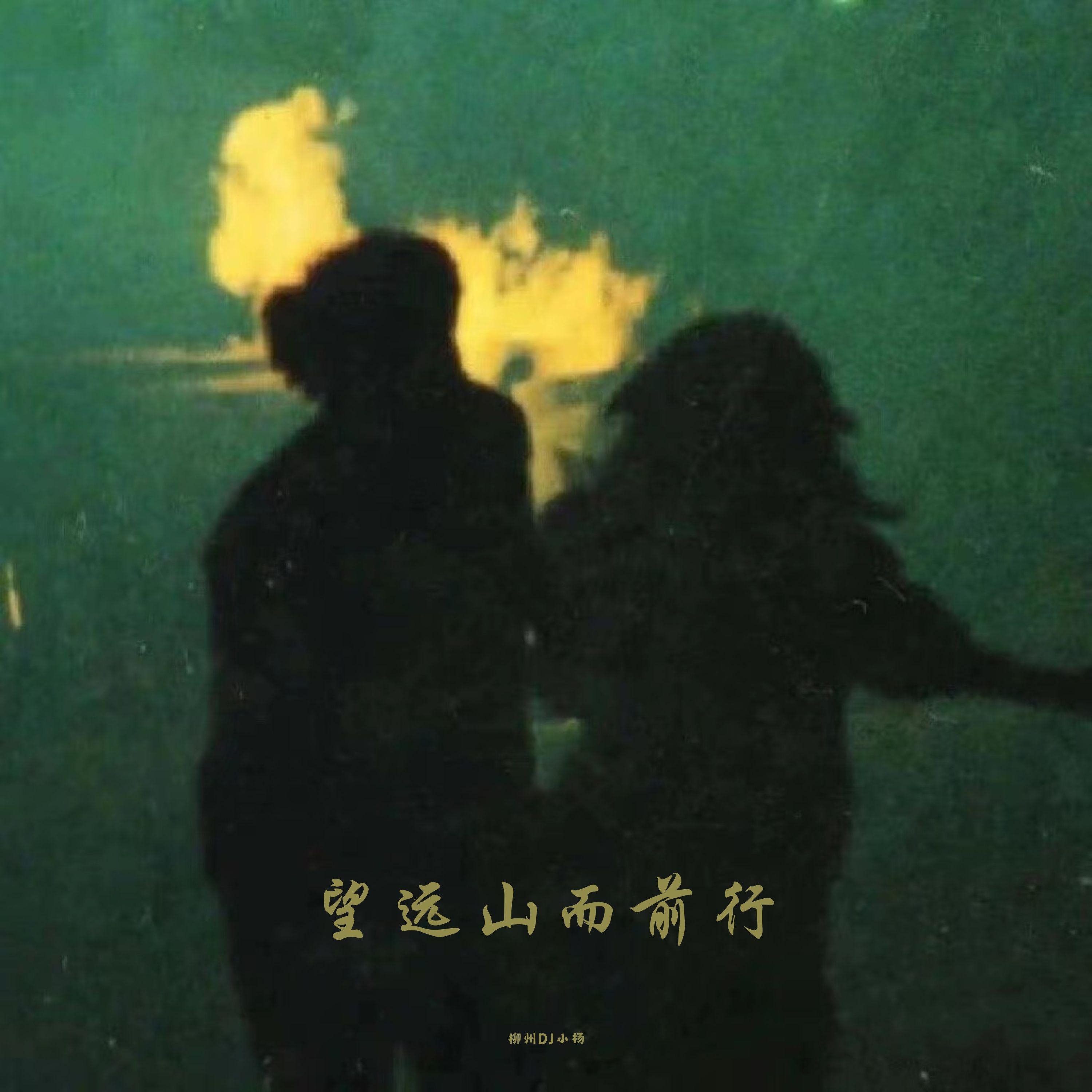 BAD - 半点心(柳州Dj小Q FunkyHouse Rmx 2023)