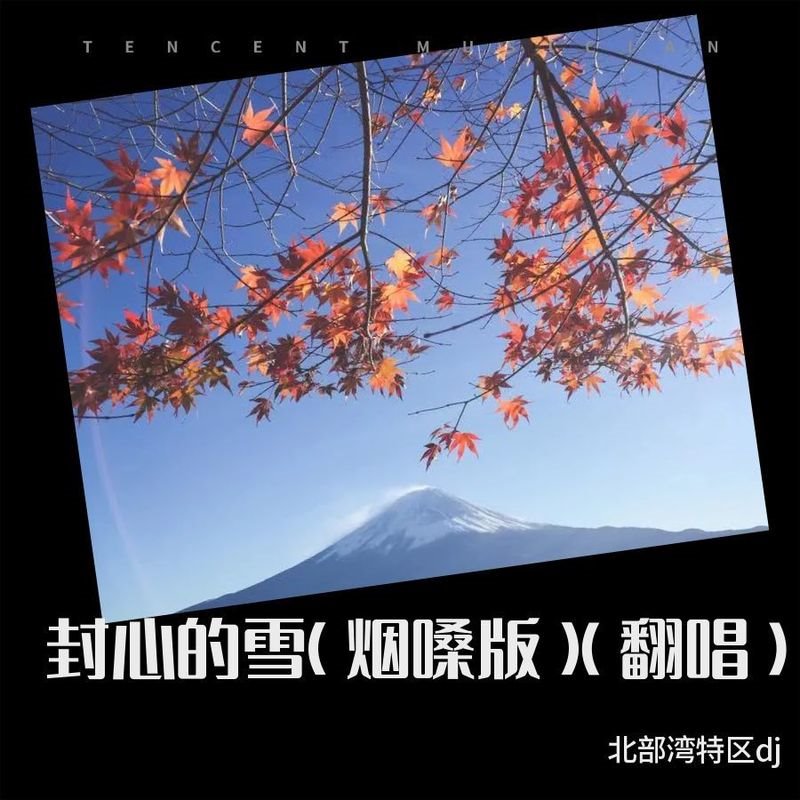 彭沛绮 - 谁不知我痴(Dj文总 FunkyHouse Rmx 2024 粤语)