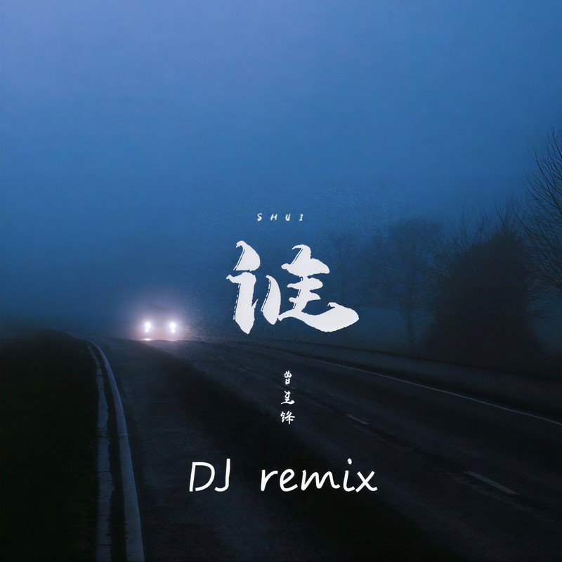 曾至锋 - 谁(潜江Dj风神 FunkyHouse Rmx 2024)