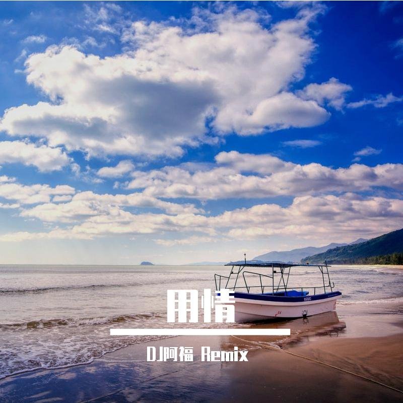 羊羊 - 用情(DjAian FunkyHouse Rmx 2023)