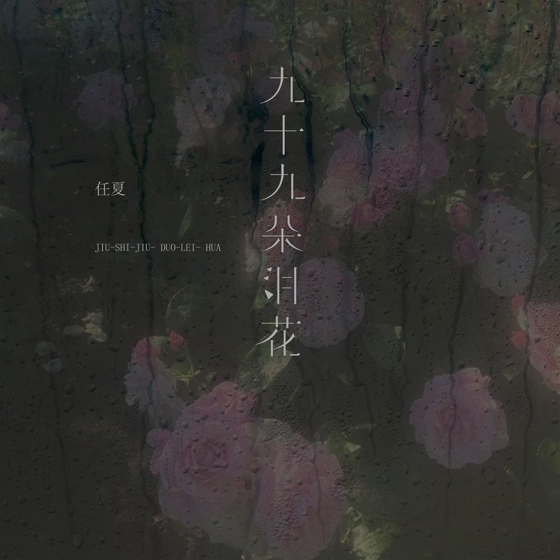 任夏 - 九十九朵泪花(Dj志坚 FunkyHouse Rmx 2024)