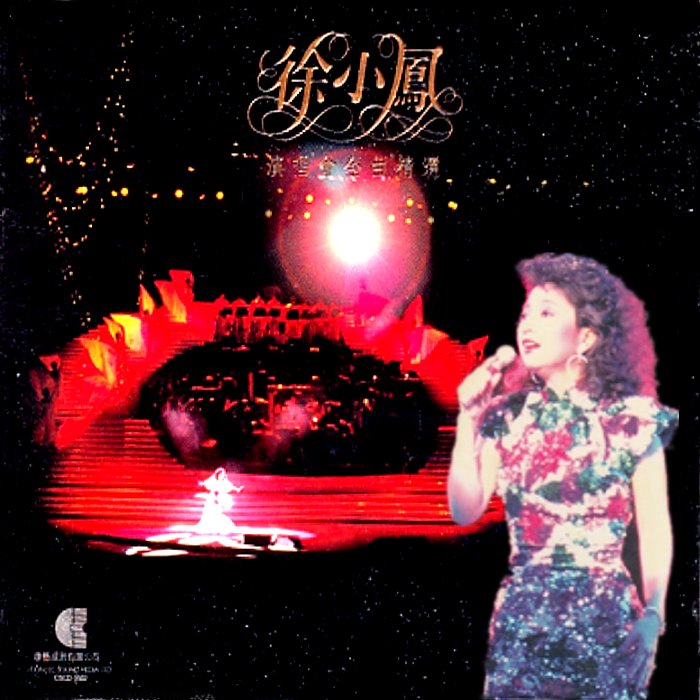 徐小凤 - 在水中央(Dj宣小庆 FunkyHouse Rmx 2023 粤语)