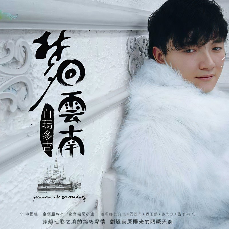 白玛多吉 - 梦回云南(DJ阿柳 Funkyhouse Rmx 2023)