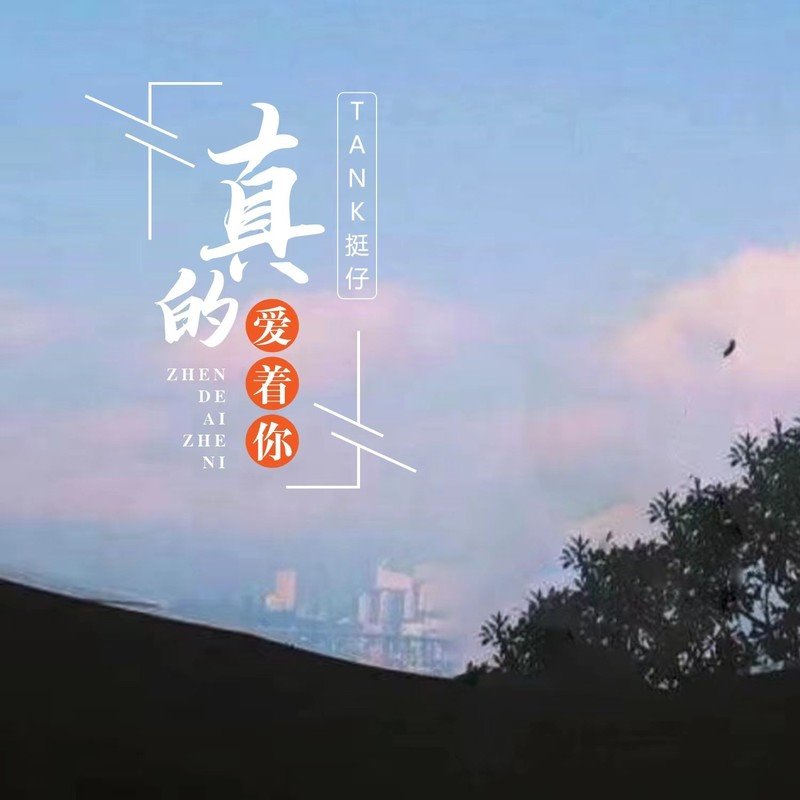 明慧 - 真的爱着你(粤语 DJ阿柳 Funkyhouse Rmx 2023)