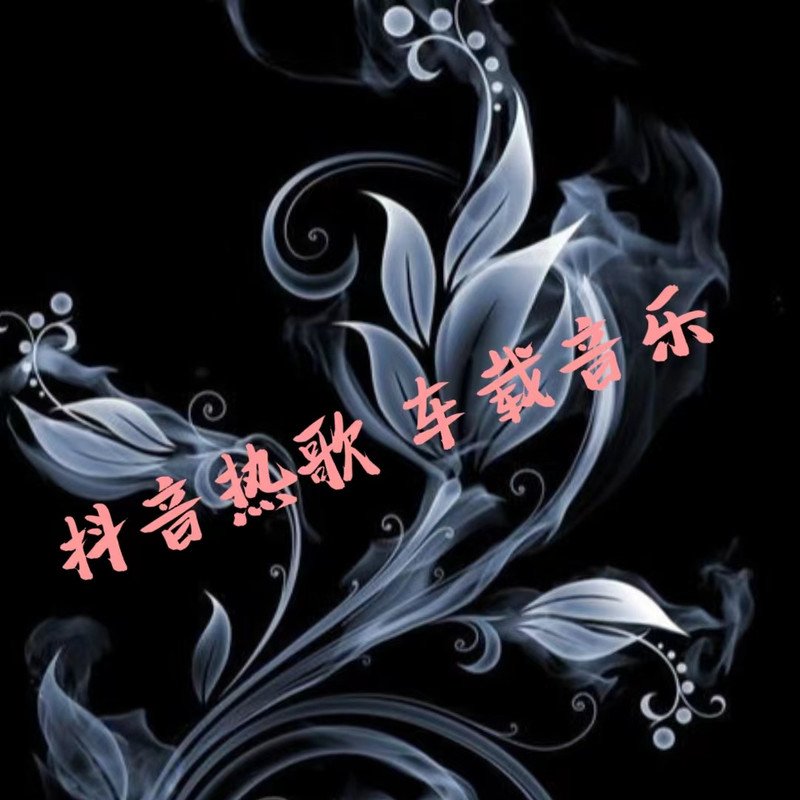 DJ城仔-全国语慢歌连版抖音精选热播榜高铁HiFi男女声专辑串烧