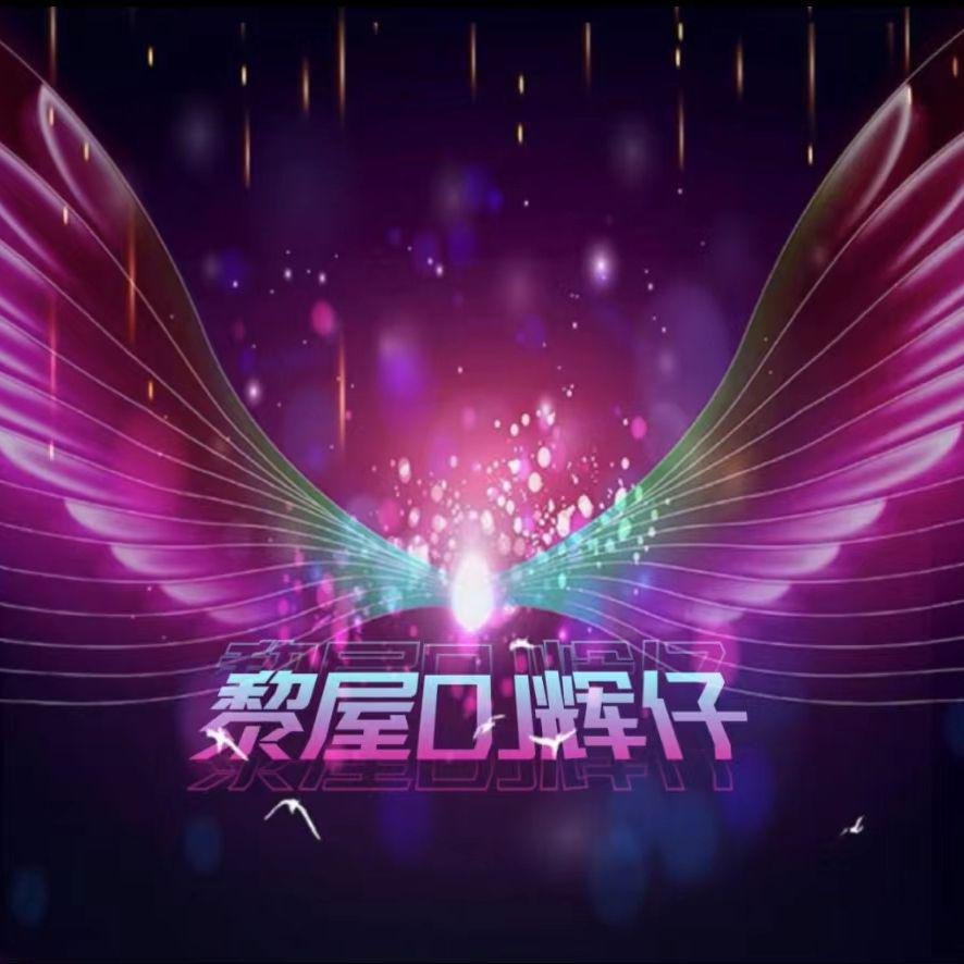 DJ国志-国粤语慢歌连版风格友哥经典金曲合集车载串烧