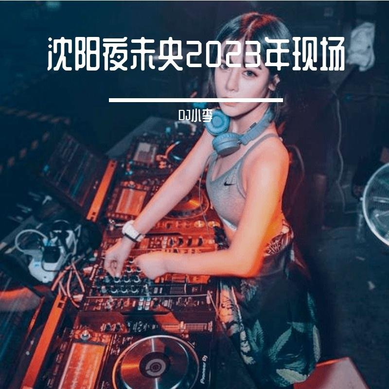 沈阳夜未央迪吧2023年04月02日全新DJ小鱼儿跳舞感觉沈阳DJ小良