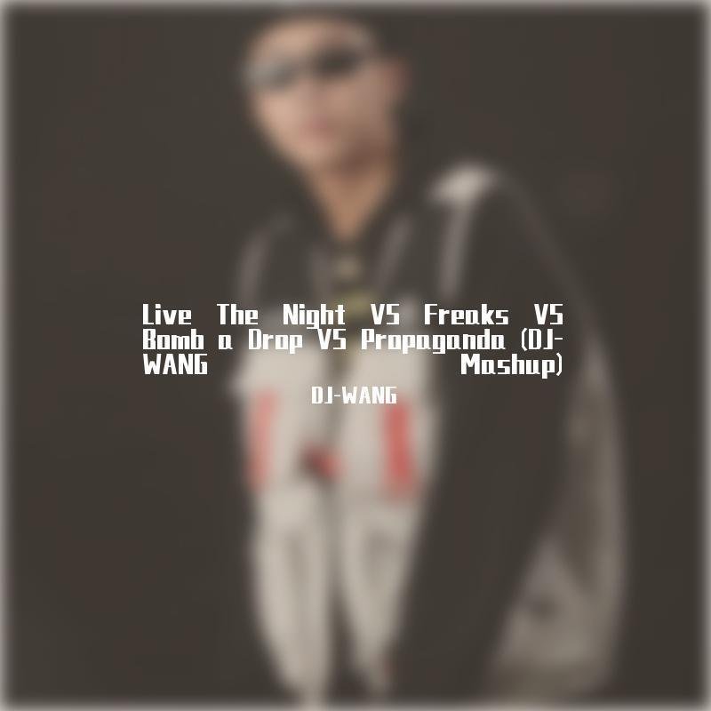 沈阳风电音狂潮 NO.1 -辽阳DJ.WANGK .第一场上劲狂欢时间 - REMIX