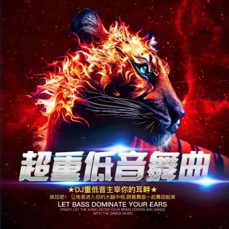 DJ国志-全国语慢歌连版风格怀旧老歌金曲串烧