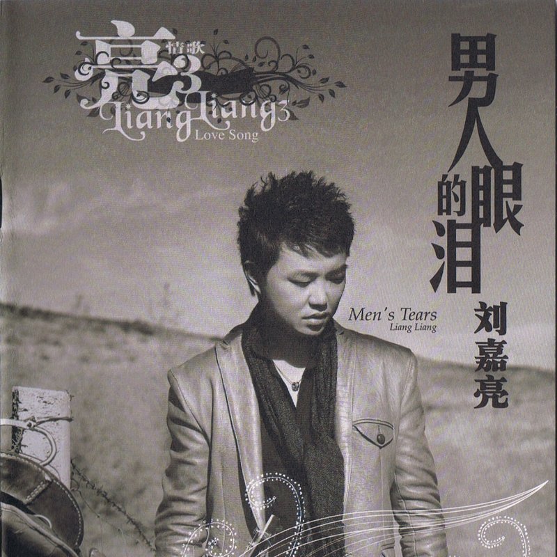 刘嘉亮-美丽女人 （Dj光仔 Electro Mix 国语）