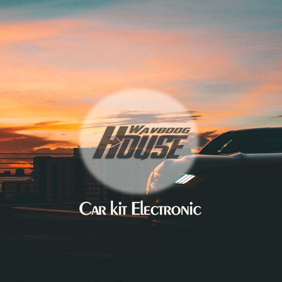 抖音神曲 - 新年你最红(DjLc Electro Mix 粤语女)