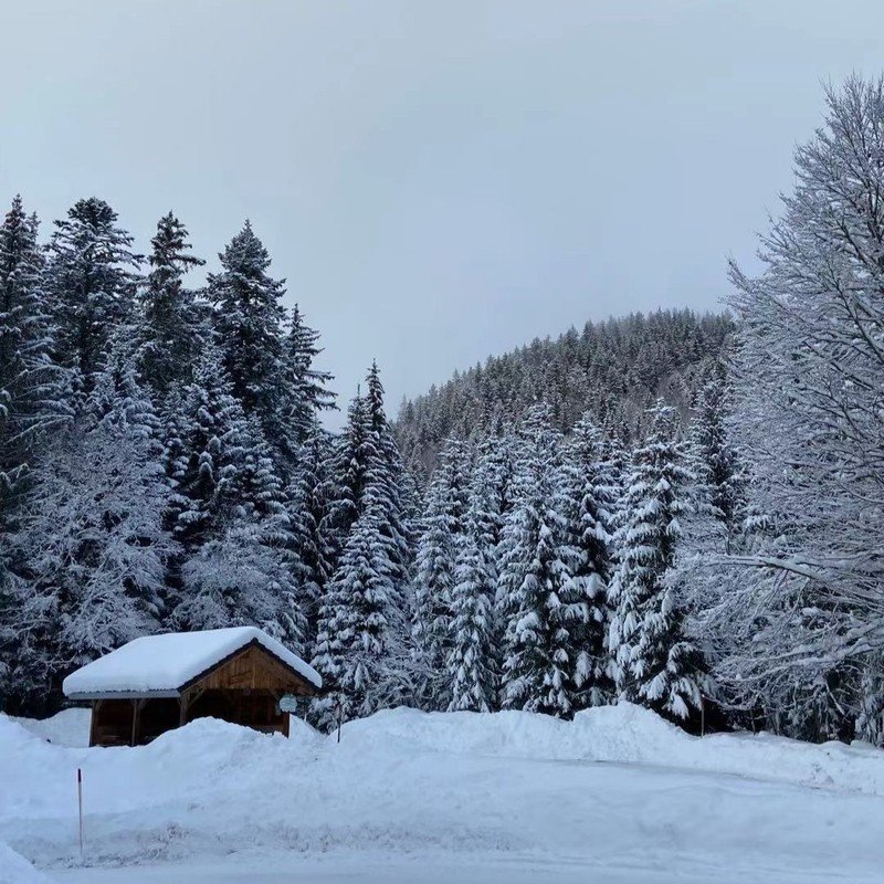 林峯 幼稚未完（DjLc Electro Mix 粤语男）