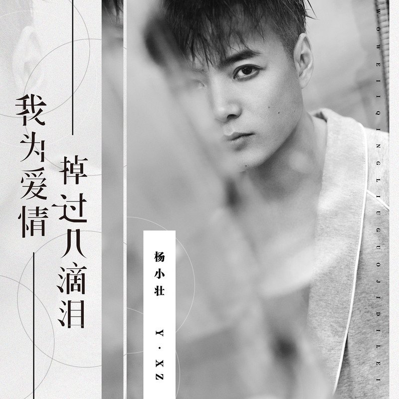 杨小壮-我为爱情掉过几滴泪 (DJ暴暴 Electro Audio Studio）