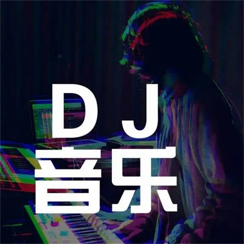 DJ国志-国粤语慢歌连版风格打造抖音流行热歌车载串烧