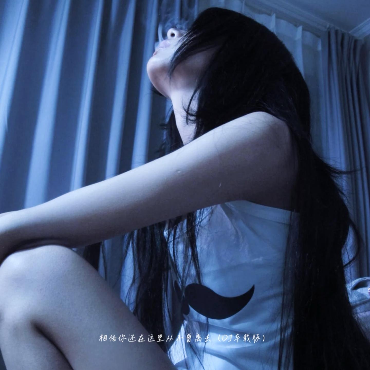 Dj水含笑-车载不朽经典【邓丽君专辑】绝版收藏金碟