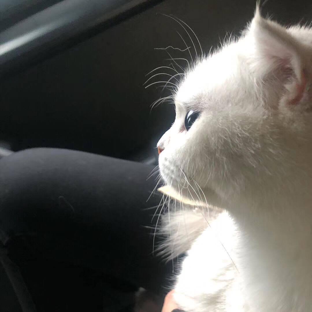 Apache - Riddim 666 (Original Mix)