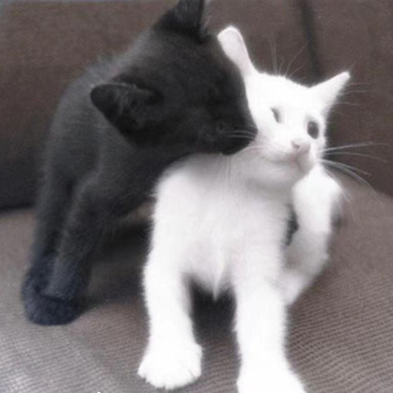 Drake - In My Feelings (Bass King Edit)