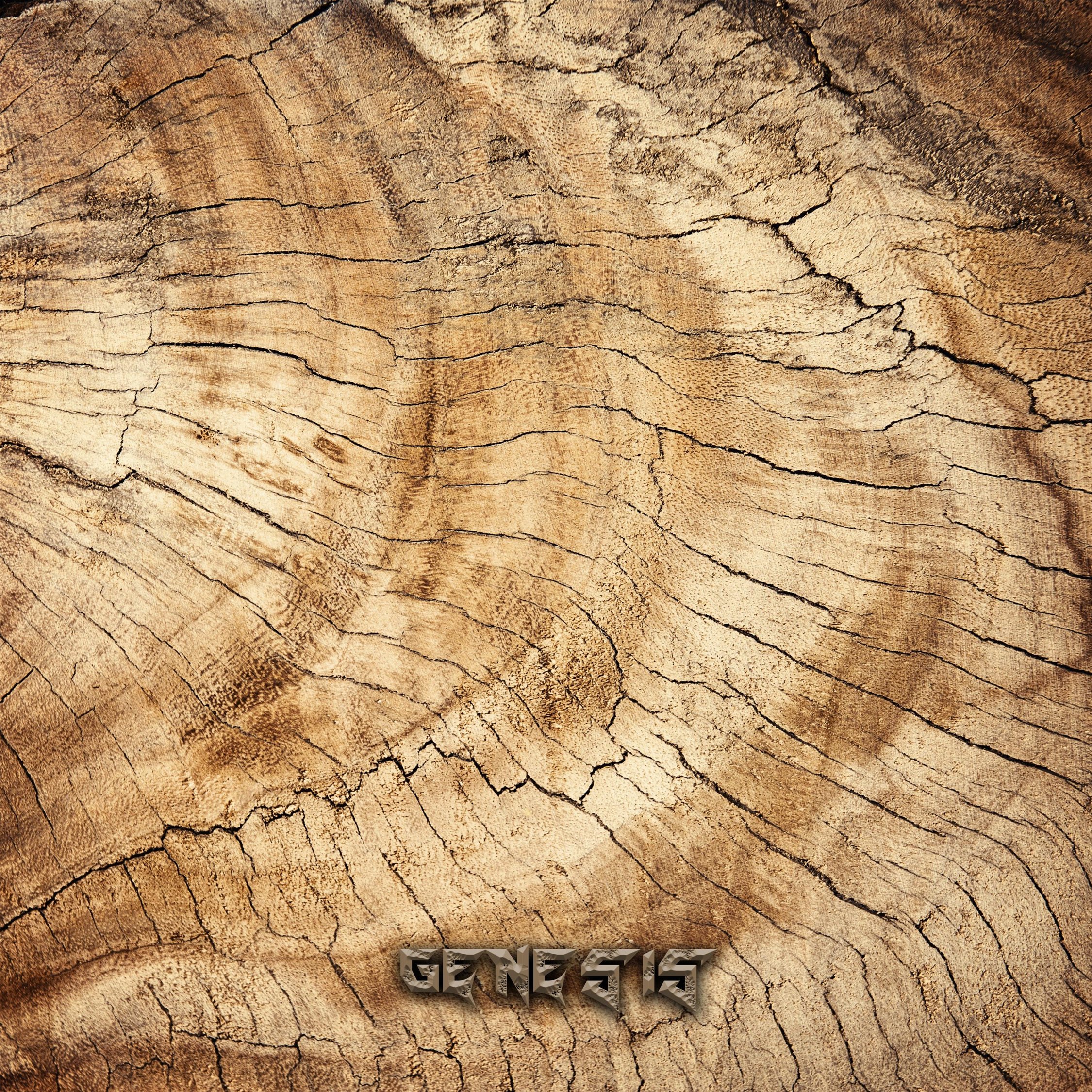 Georgian Trap Coalition - King S Back (Original Mix)