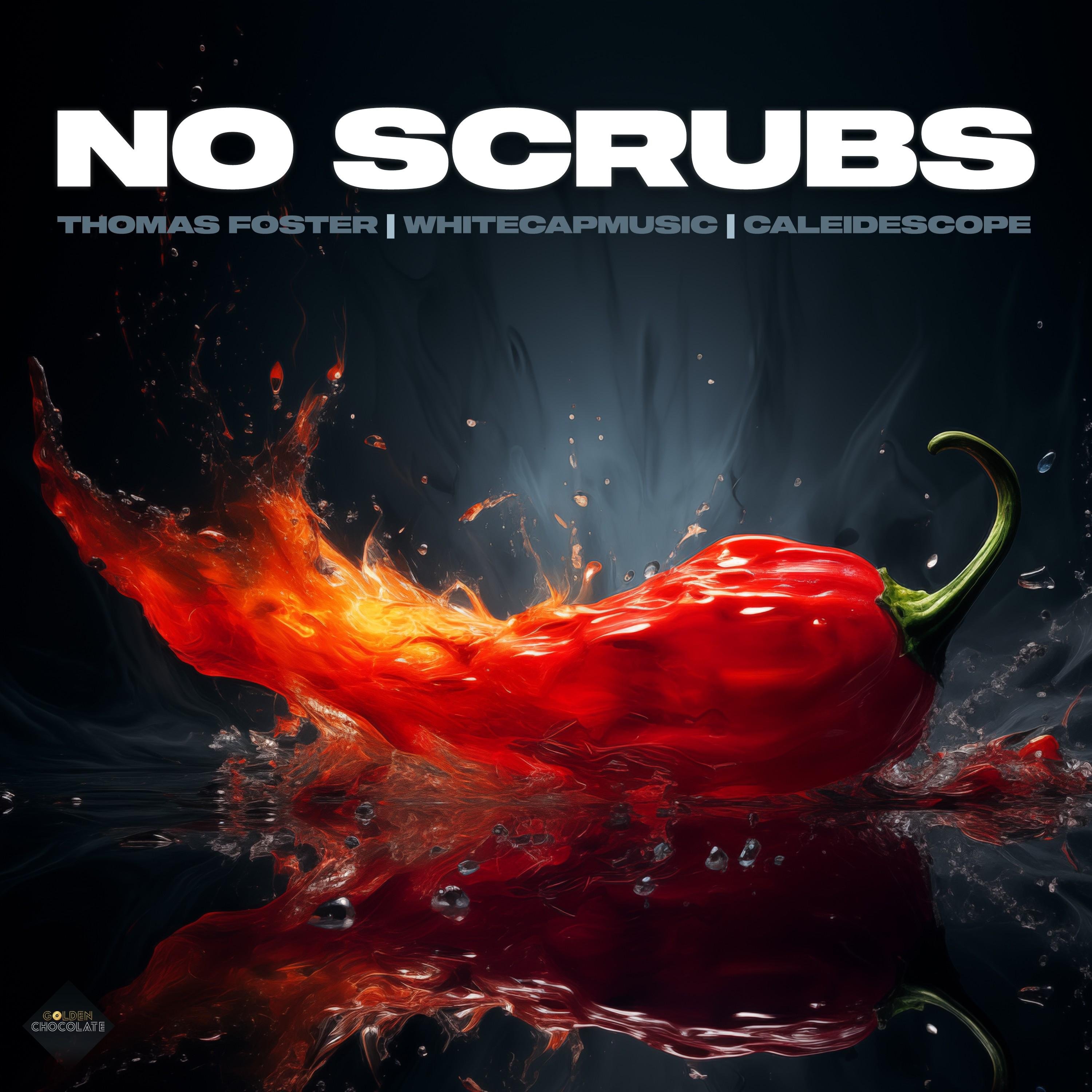 Kelvin Wood, Sam Robs - No Scrubs (Extended)