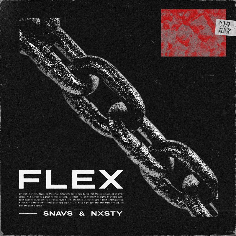 Snavs, NXSTY - Flex (Original Mix)