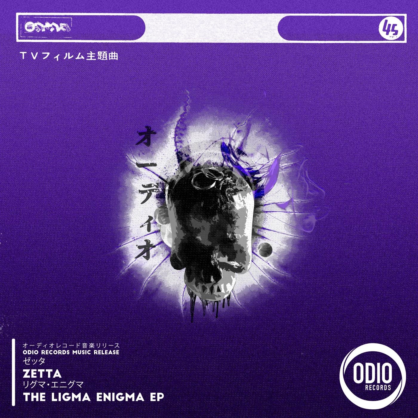 Zetta - The Ligma Enigma (Original Mix)