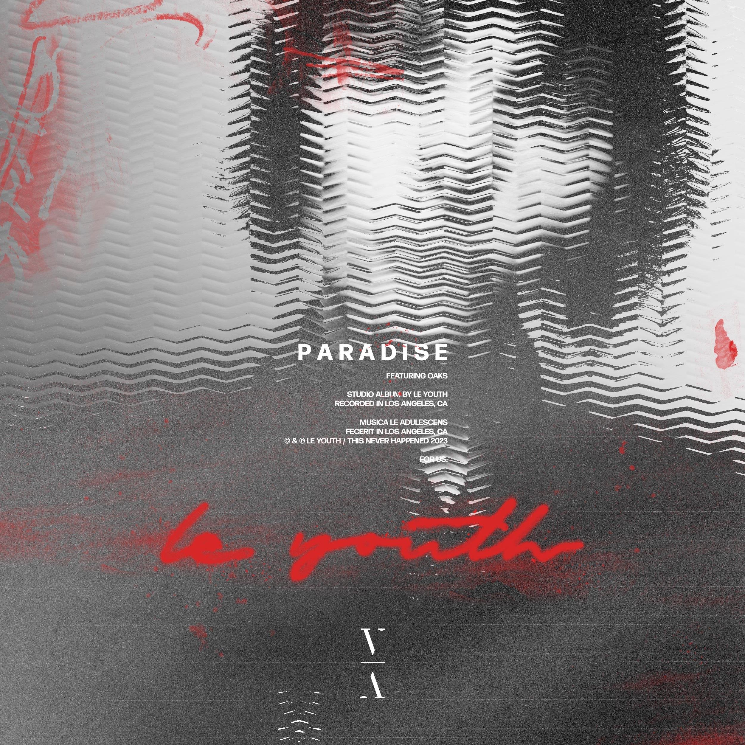 Disko Junkie - Paradise (Original Mix)